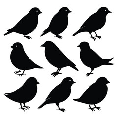 Set of Finches black Silhouette Vector on a white background