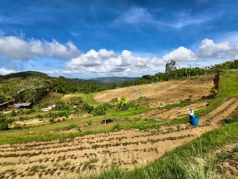MUSFA Bohol Organic & Strawberry Farm in Jagna, Bohol.