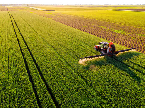 Drone shot of a tractor spraying in lush green wheat fields under the bright sun, showcasing modern agriculture