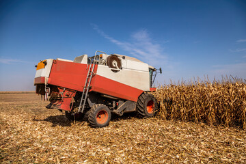 Modern combine harvester in action on corn field