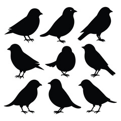 Set of Finches black Silhouette Vector on a white background