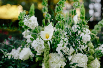 Elegant floral arrangement with white calla lilies and lush greenery