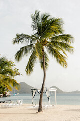 Palm tree frames beach wedding setup in St. Lucia with ocean backdrop