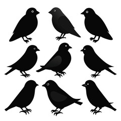 Set of Finches black Silhouette Vector on a white background