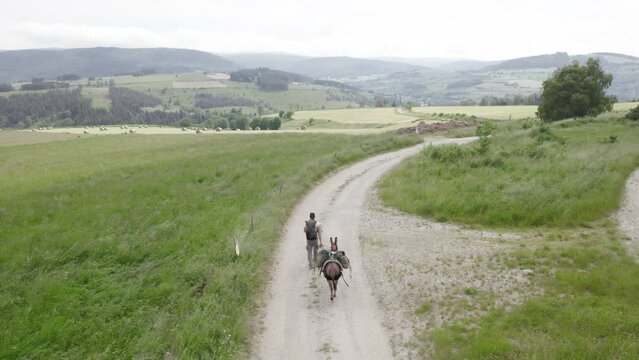 Man With Donkey Walking On Trail Through Countryside Fields