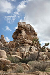 Rocky pile and Joshua tree against cloudy blue sky