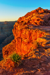 Grand Canyon's Cliff at Sunset