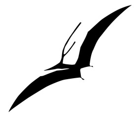 silhouette of a pterosaur on a white background