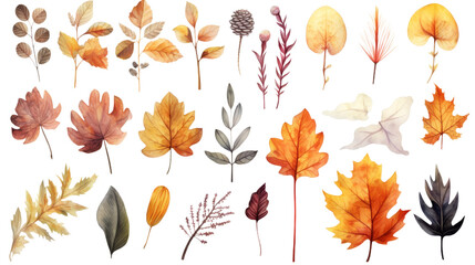  Collection of autumn-themed watercolor 