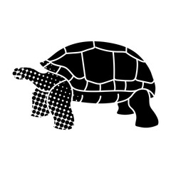 Galapagos giant tortoise black hand drawn icon in halftone texture style