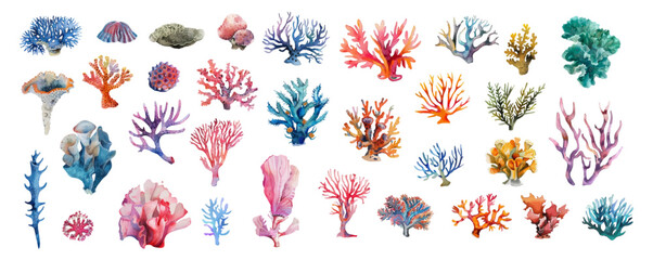 Set of vector watercolor seaweed and corals isolated on white. Sea theme, design element, decoration of water entertainment places, parks, beaches. © Narin