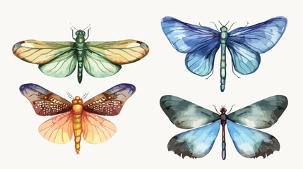 Four of butterfly dragonfly watercolor hand drawing.
