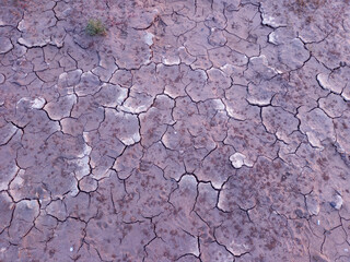 Patterns created in the dried mud of a riverbank in Suffolk, UK