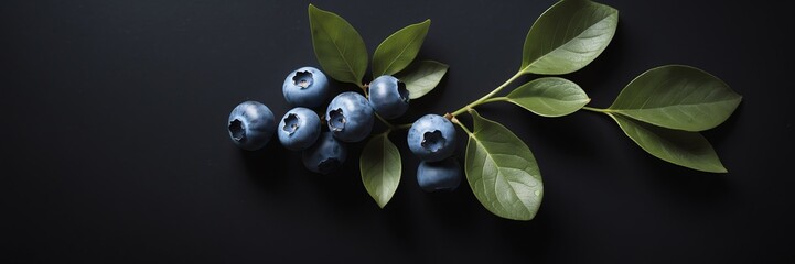 blueberry and leaves on plain black background from Generative AI