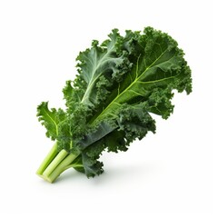Kale leaves. Green curly salad leaf isolated on white background. Kale macro. Kale. King of nutrition