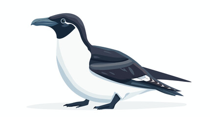Alca torda bird flat vector illustration. Cartoon Raz