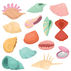 seashells flat Illustration Collection