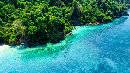 Aerial view of the dark green forest and the sea. Natural ecosystems of forests and oceans. concept...