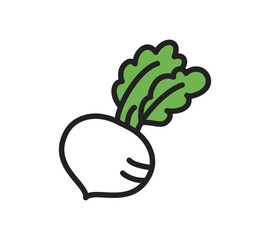 シンプルなカブのイラスト