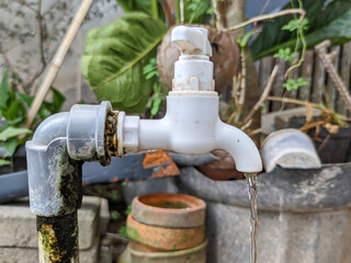 Plastic water tap with a leaking joint, where persistent drips have created the perfect environment for moss to thrive around the pipe.