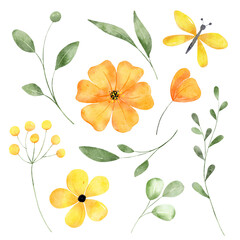 Watercolor yellow flowers and green leaves, floral illustration for greeting card, invitation and other printing design. Isolated on white. Hand drawing.