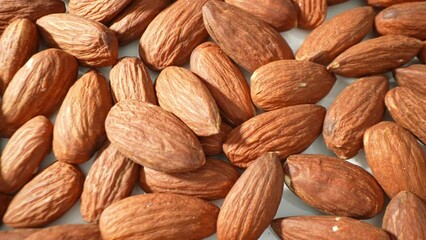 Almonds, the seeds of Prunus dulcis, teem with vitamin E, magnesium, and wholesome fats, fashioning them into a delectably nutritious snack.
