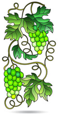 An illustration in the style of stained glass with grape vines isolated on a white background
