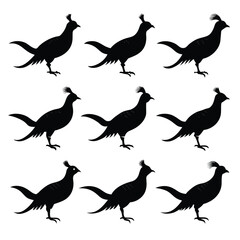 Set of Pheasant animal black Silhouette Vector on a white background