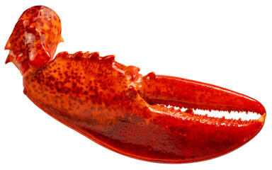 Red Cooked Claw Lobster isolated on white, Steam Canadian lobster isolated on white background PNG...
