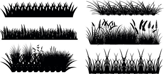 silhouettes of grass, reeds, plants isolated on white. Perfect for backgrounds, landscape elements, natural themes. Distinct designs, from spiky grass to tall reeds