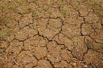 Fototapeta premium cracked clay surface due to lack of water in the dry season. this light orange clay is suitable for wallpaper or background. dry season. climate change 