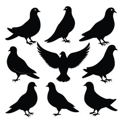 Set of Pigeon black Silhouette Vector on a white background