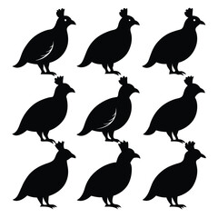 Set of Quail animal black Silhouette Vector on a white background
