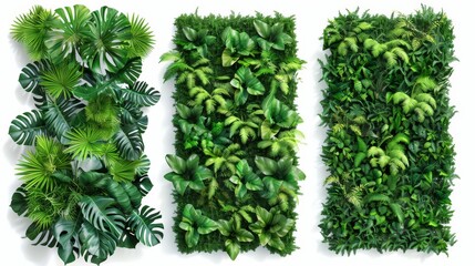 Cut-outs of tropical plant walls for garden walls