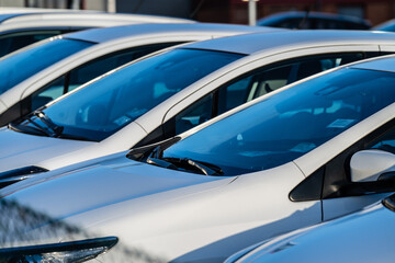 Row of white cars on a parking lot.