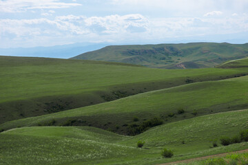 Fototapeta premium Green field in countryside at sunny day. Beautiful landscape in the mountains. Grassy field and hills. Travel Georgia