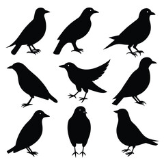 Set of Starling animal black Silhouette Vector on a white background