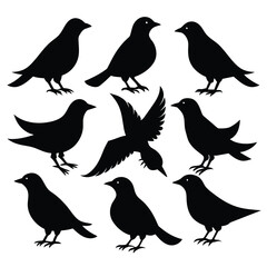 Set of Starling animal black Silhouette Vector on a white background