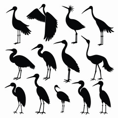 Set of Stork black Silhouette Vector on a white background