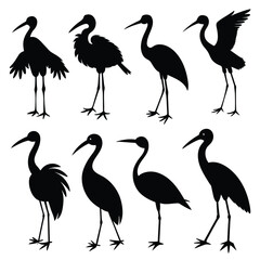 Set of Stork black Silhouette Vector on a white background