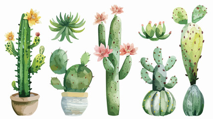 Cacti hand drawn watercolor flower illustration. Plan