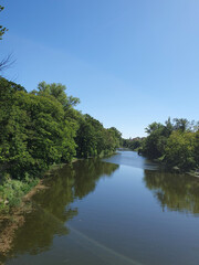 A river, trees, bushes and grass grow along the river. Beautiful view of the river, nature