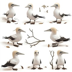 Little Gannet Bird Cute character multiple posses and expression children's book illustration style