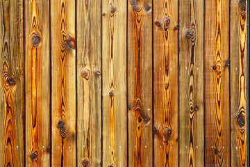 Fototapeta premium The old board as background