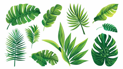 Set Of Tropical Green Leaves Isolated On White background