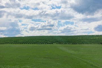 beautiful green valley with green fields with green grass with hills and mountains and clouds on background of landscape