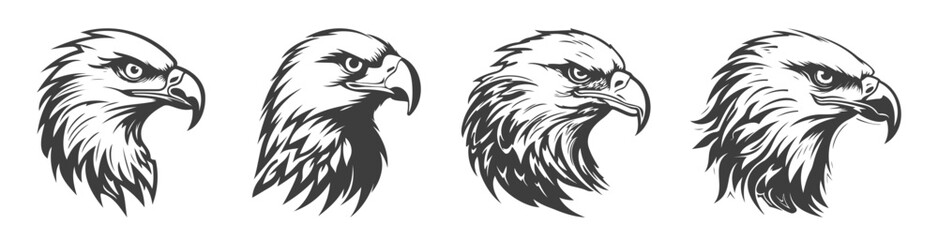 Fototapeta premium set of eagle silhouettes, black and white vector design, 