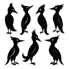 Set of Woodpecker animal black Silhouette Vector on a white background