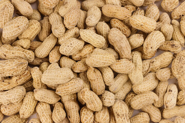 Peanuts in Shell Isolated or Kacang Oven.