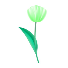 Realistic cherry blossom illustration on white background